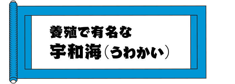 養殖で有名な宇和海（うわかい）