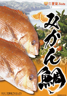 みかん鯛